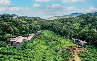 Aitken Spence Hotels Takes Over Management of Sri Lanka's First Ecolodge: Rainforest Ecolodge