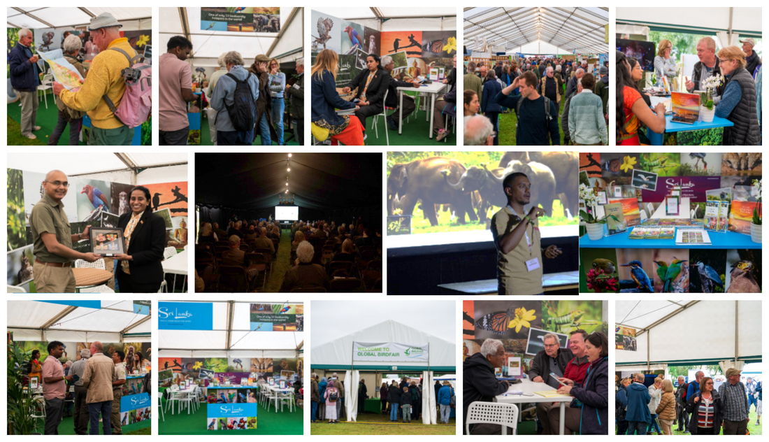 Sri Lanka Shines at Global Bird Fair 2024, Highlighting its Rich Wildlife Tourism Potential